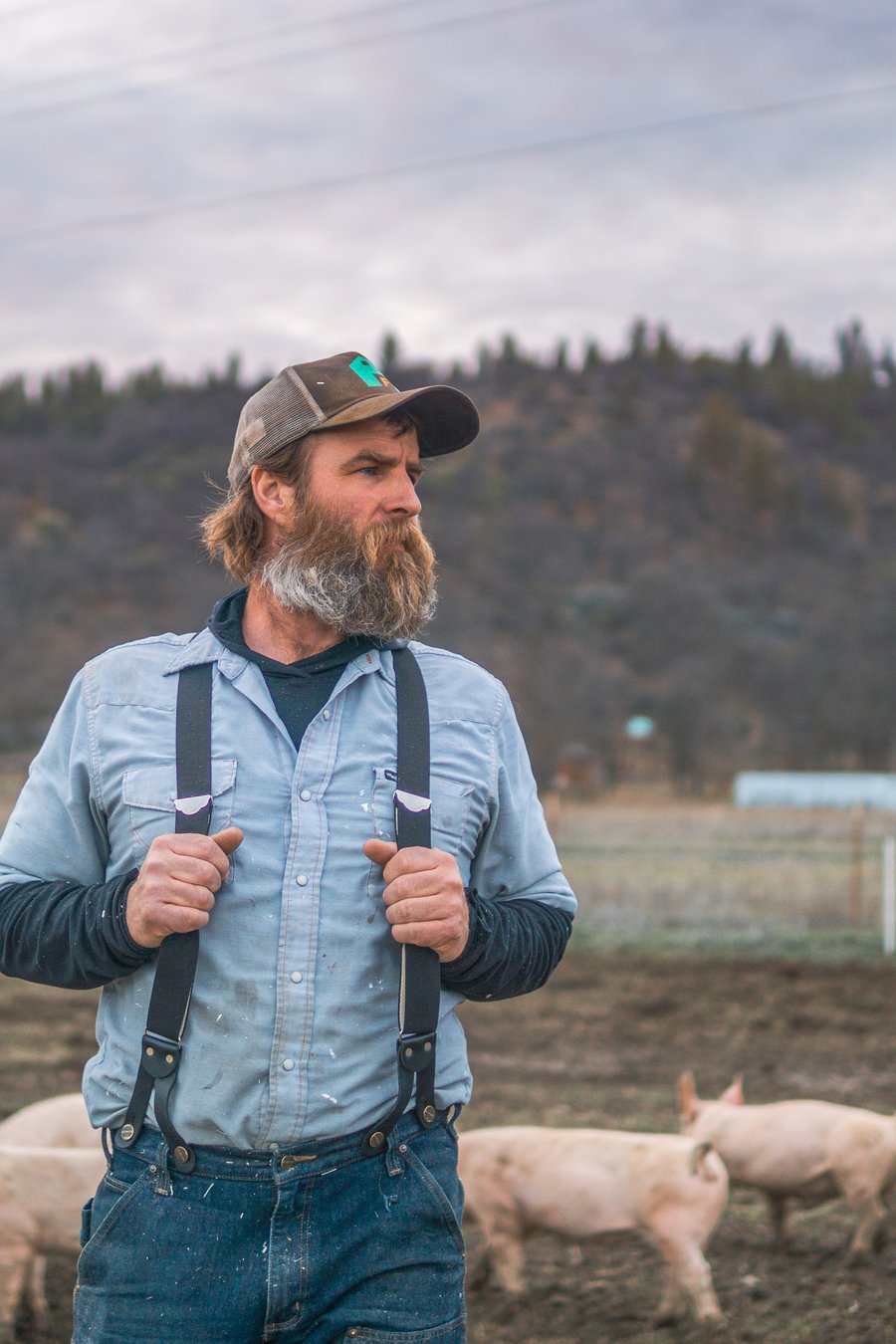 Rich Harris on the farm